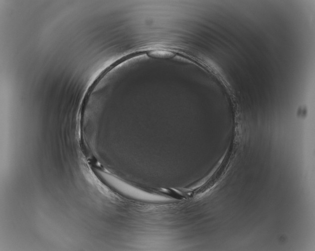 X0000111120892200907211047