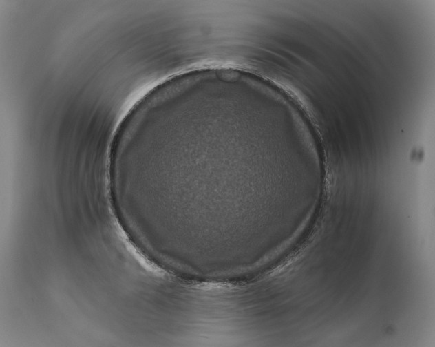 X0000111120894200907211047