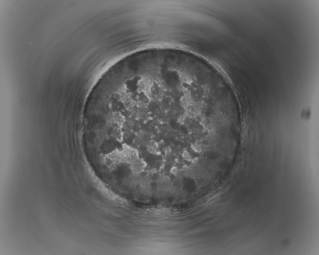 X0000111120895200907211047