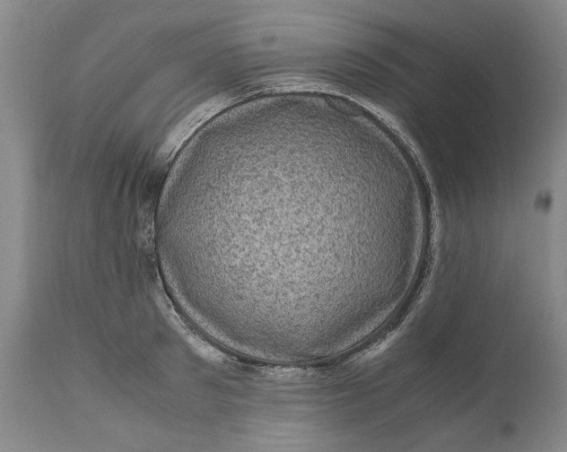 X0000111120897200907211047