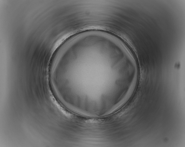 X0000111120898200907211047