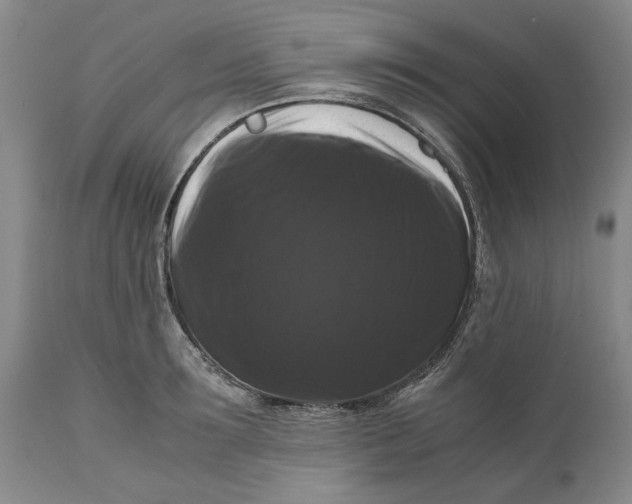 X0000111120899200907211047