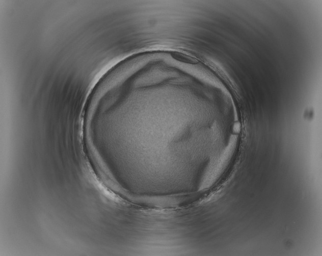 X0000111120900200907211047