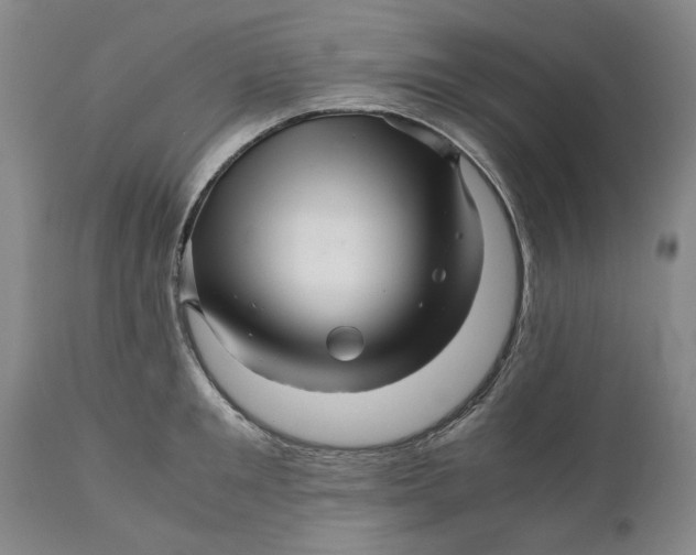 X0000111120901200907211047