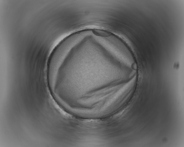 X0000111120902200907211047