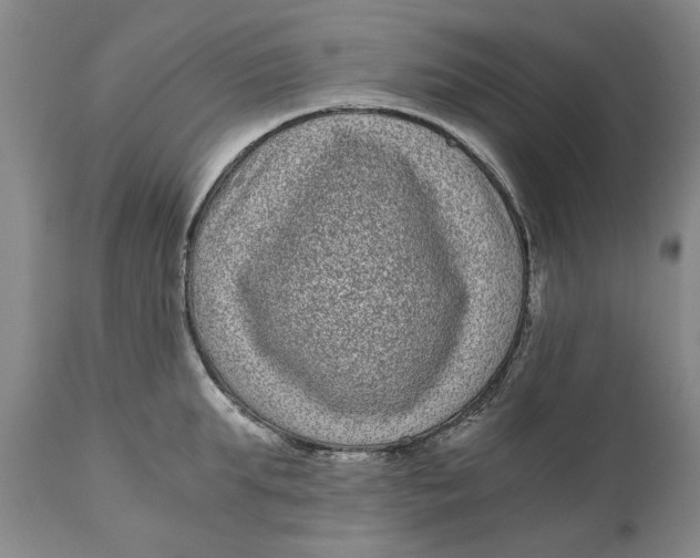 X0000111120903200907211047