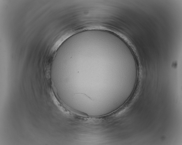 X0000111120905200907211047