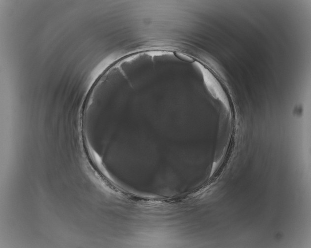 X0000111120907200907211047