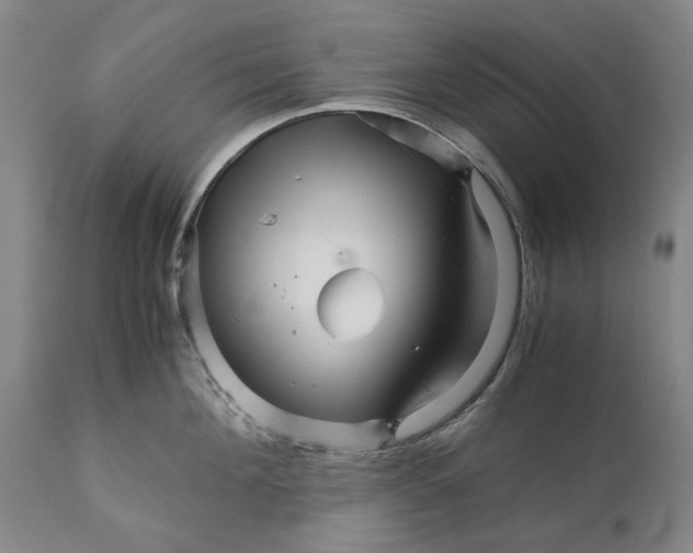 X0000111120908200907211047