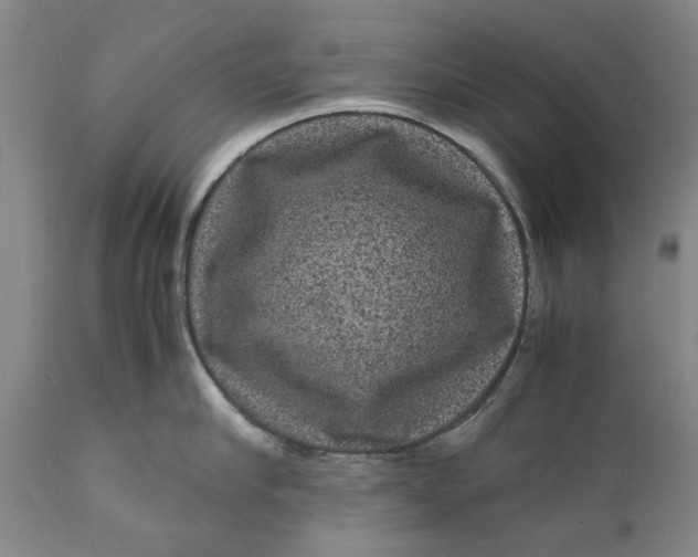 X0000111120910200907211047