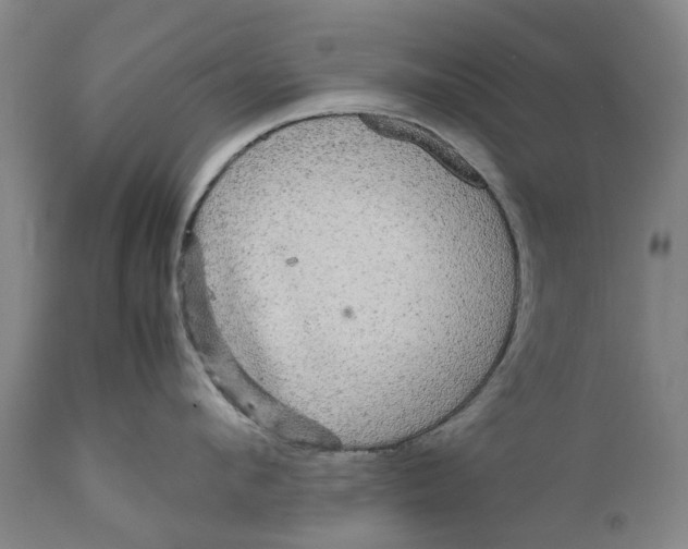 X0000111120912200907211047