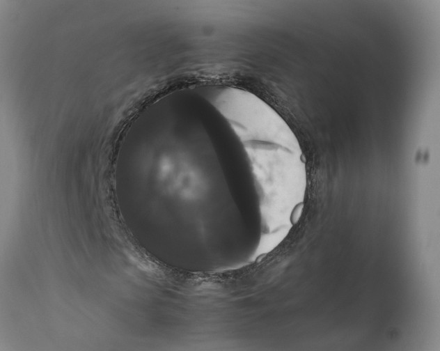 X0000111120913200907211046