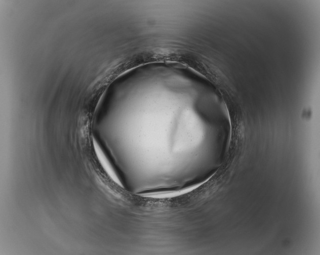 X0000111120914200907211046