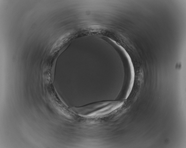 X0000111120916200907211046