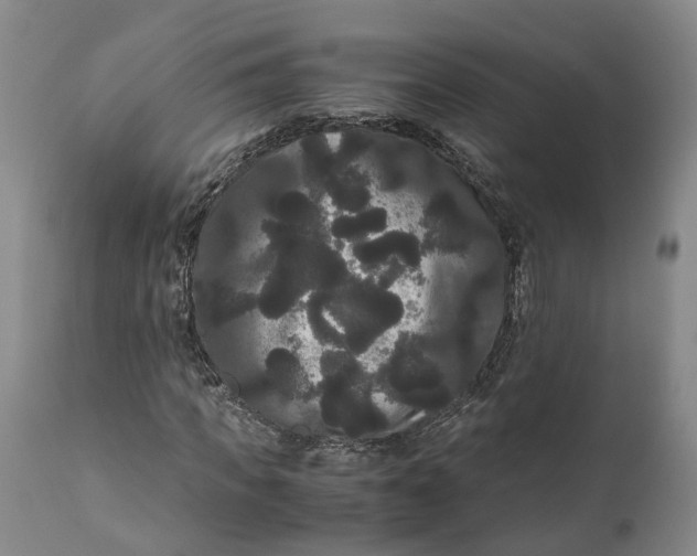 X0000111120917200907211046