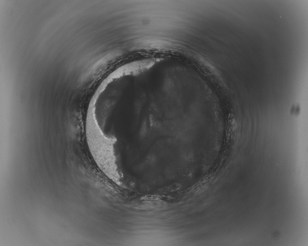 X0000111120918200907211046