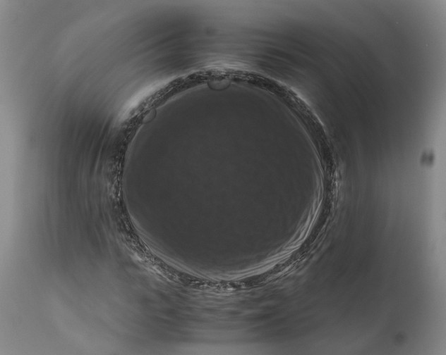 X0000111120919200907211046