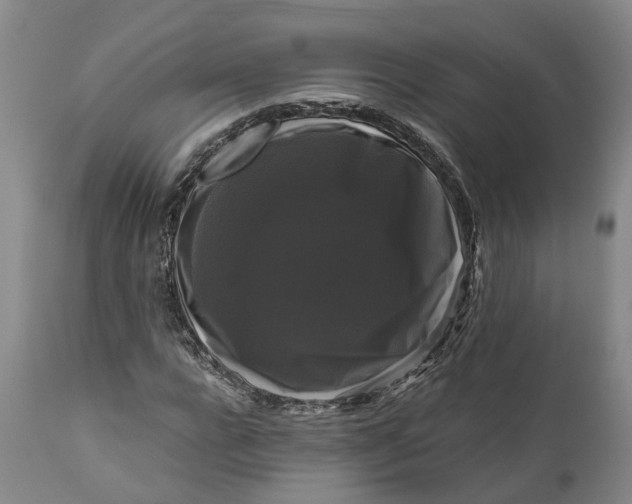 X0000111120920200907211046