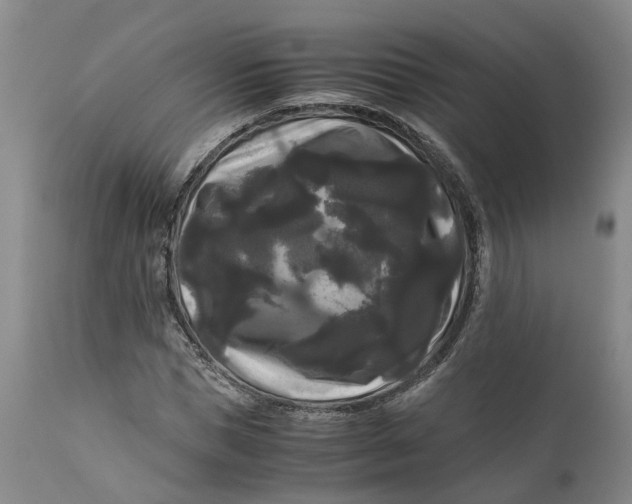 X0000111120921200907211046