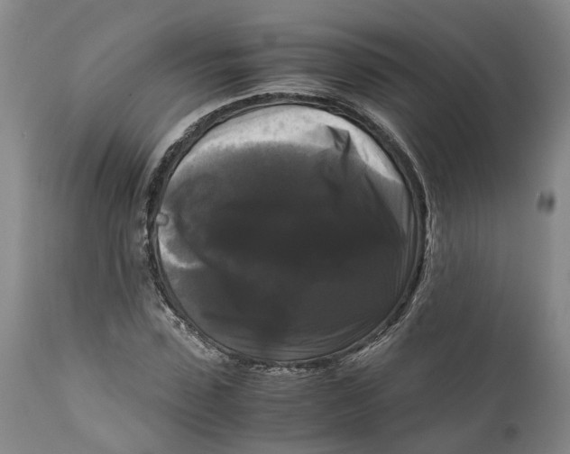 X0000111120923200907211047