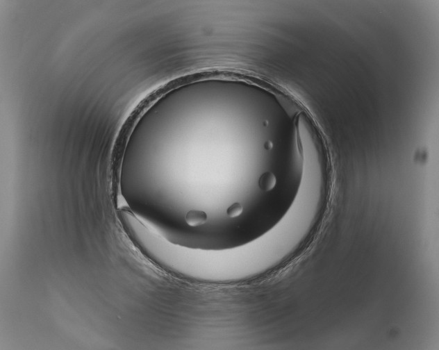 X0000111120924200907211047