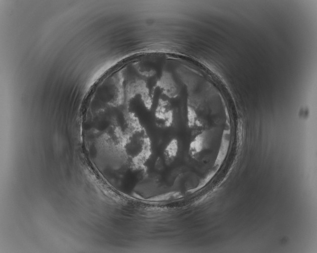 X0000111120925200907211047