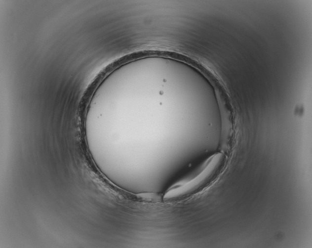 X0000111120926200907211047