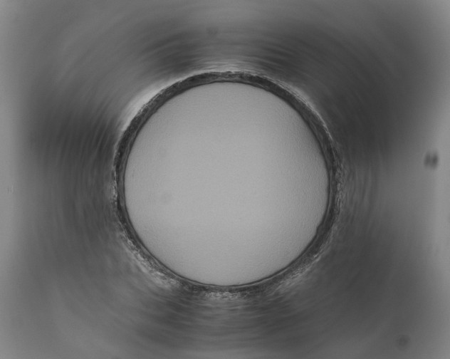 X0000111120927200907211047