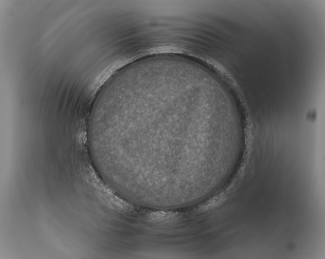 X0000111120929200907211047