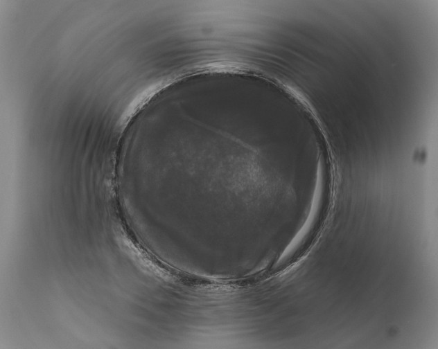 X0000111120930200907211047