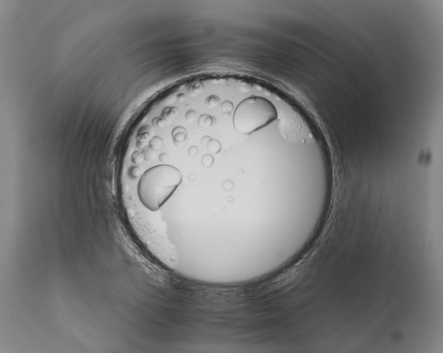 X0000111120931200907211047