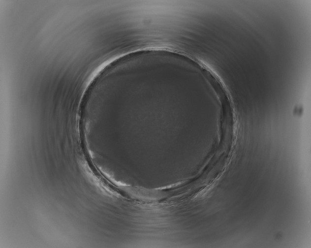 X0000111120932200907211047