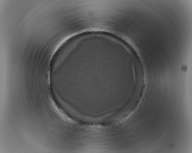 X0000111120934200907211047