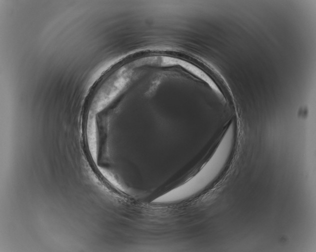 X0000111120935200907211047