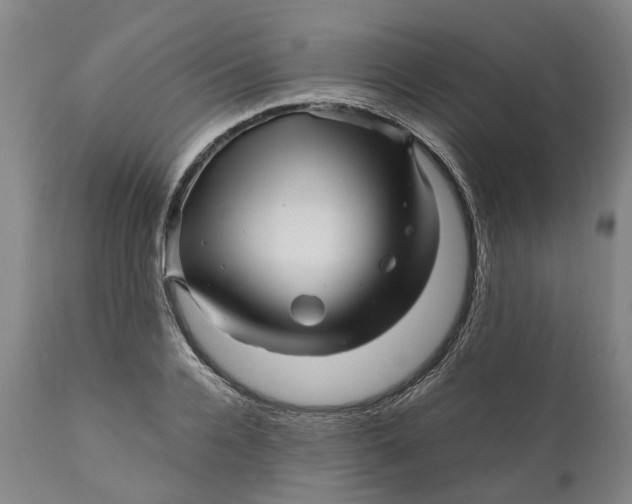 X0000111120936200907211047