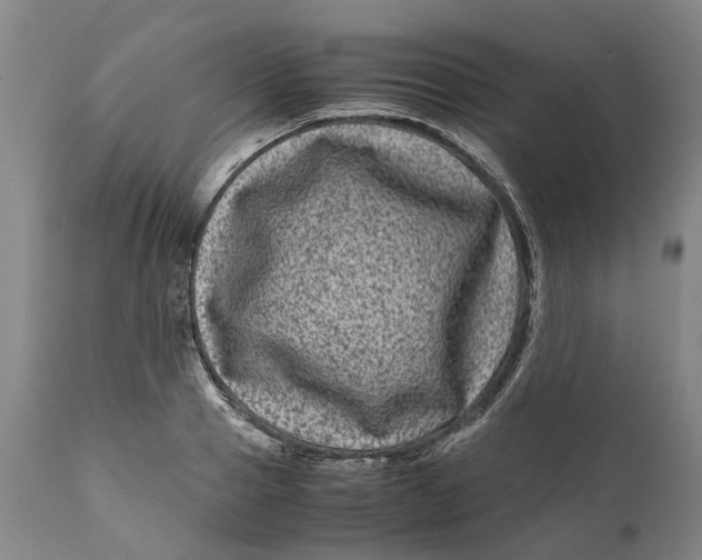 X0000111120937200907211047