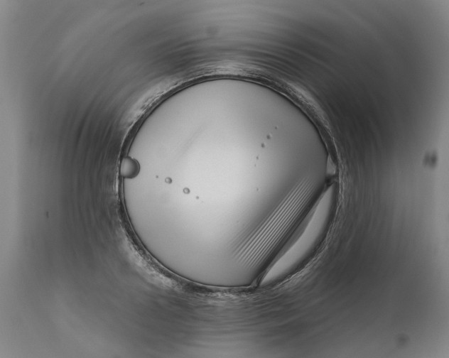 X0000111120938200907211047