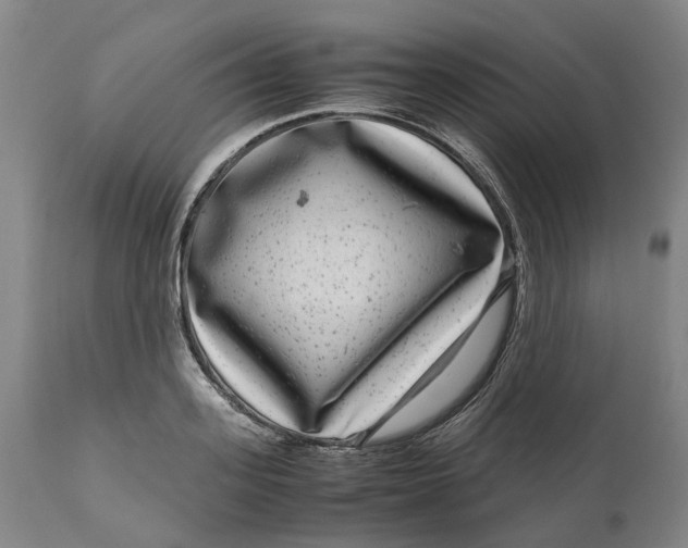 X0000111120939200907211047