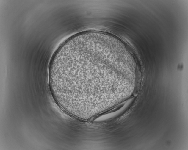 X0000111120940200907211047