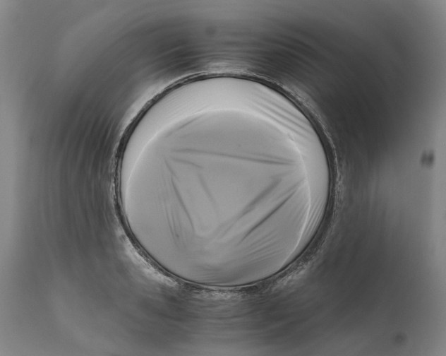 X0000111120941200907211047