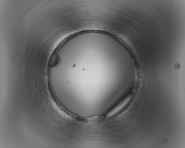 X0000111120942200907211047