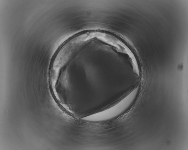 X0000111120943200907211047