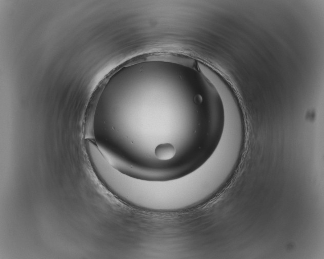 X0000111120944200907211047