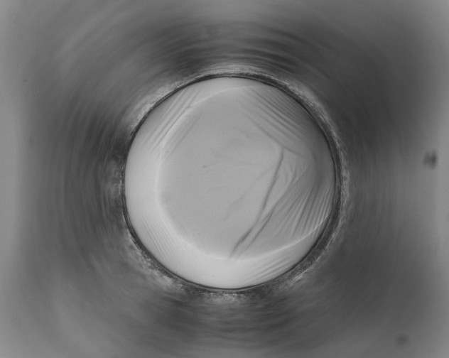 X0000111120945200907211047