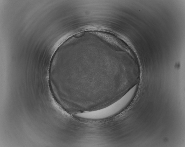 X0000111120946200907211047