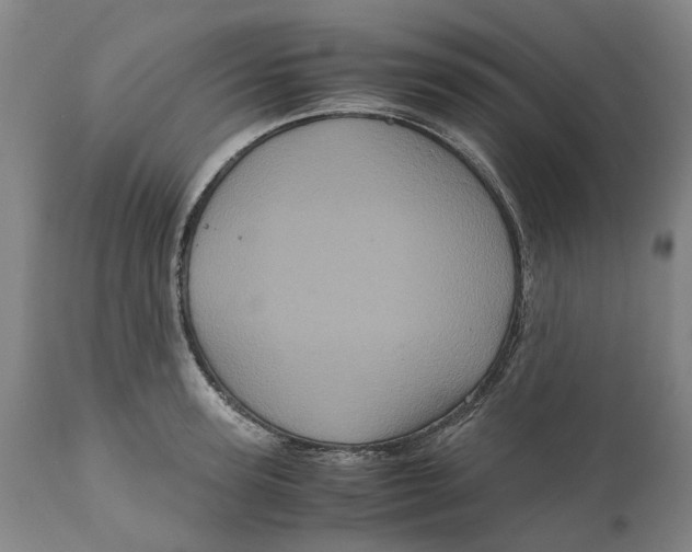 X0000111120947200907211047