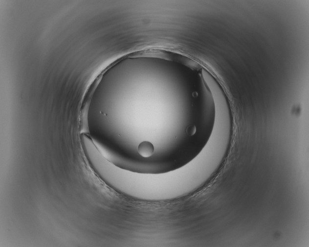 X0000111120948200907211047