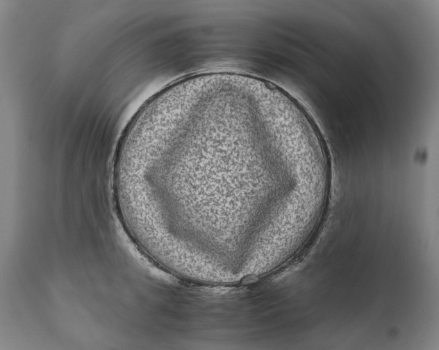 X0000111120949200907211047