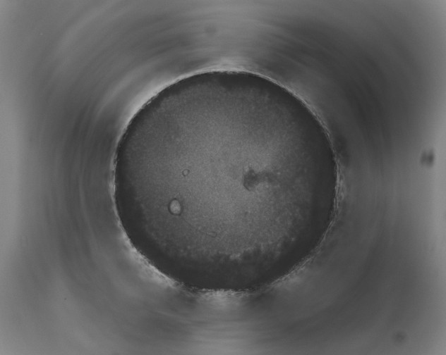 X0000111120950200907211047