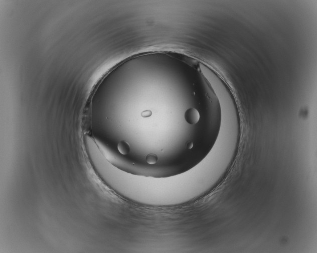 X0000111120952200907211047